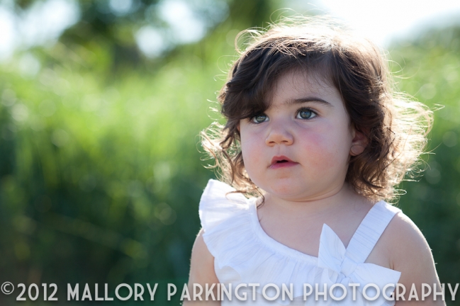 Mallory Parkington Photography
